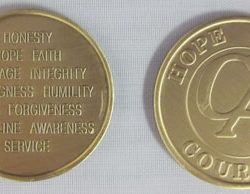 CA Principles Chip